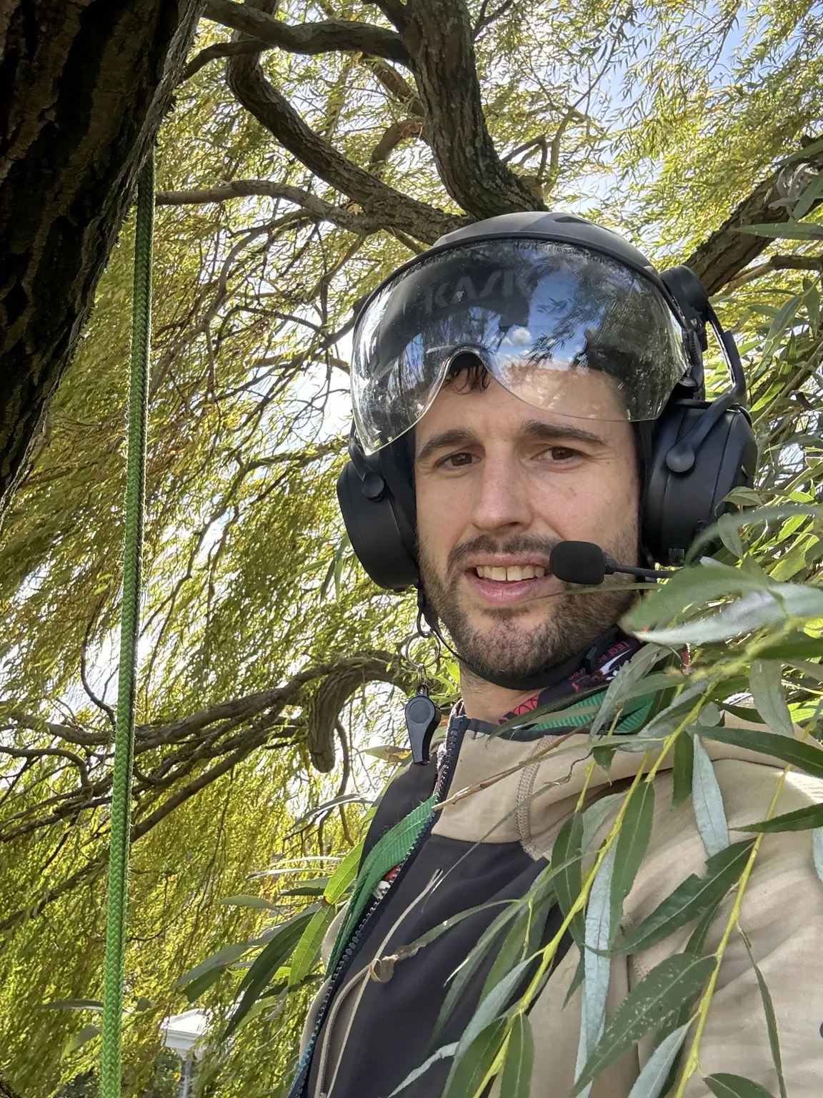 Arboriste équipé d’un casque de protection et de communication dans un saule