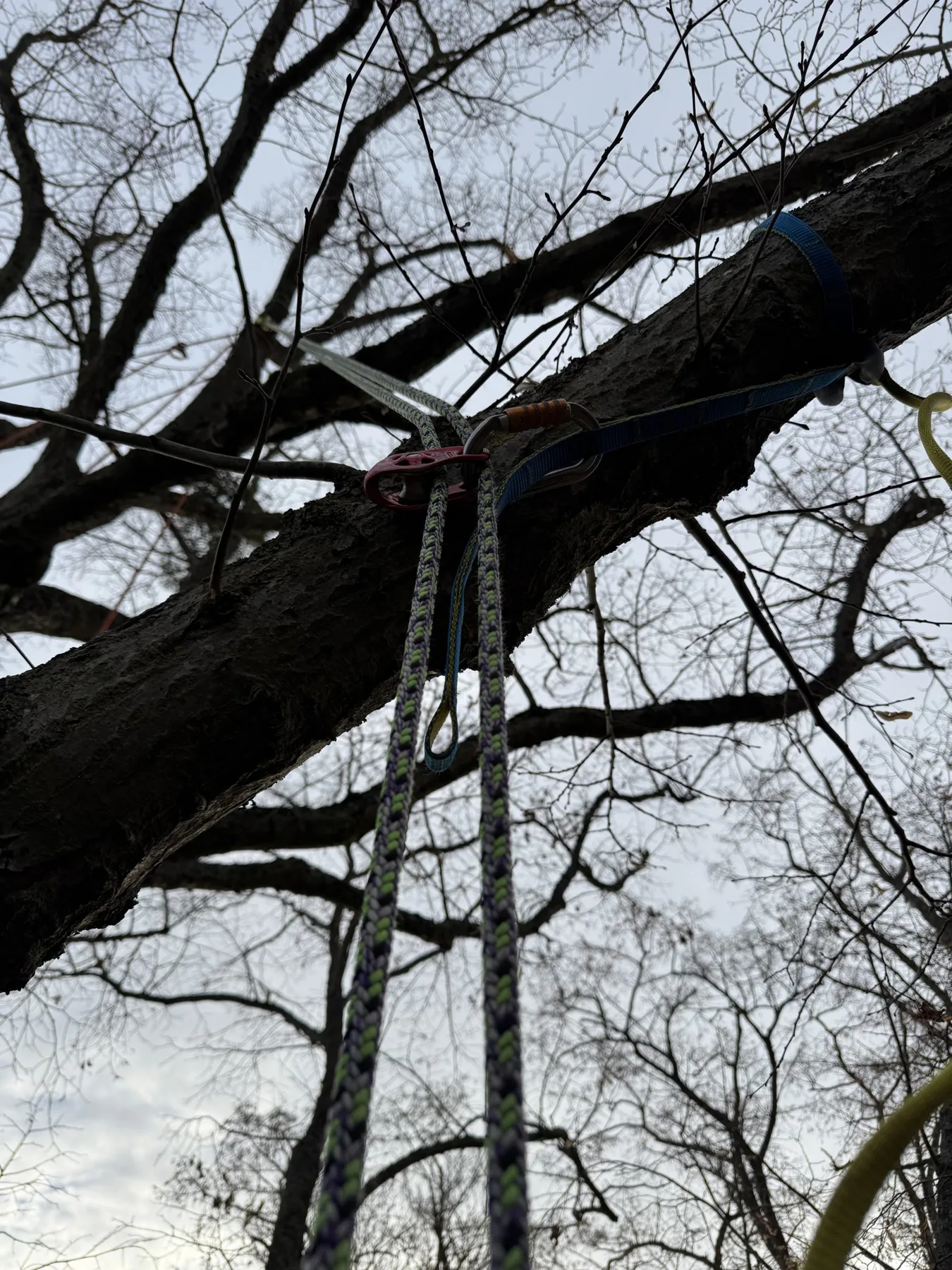 Intervention arborée Haute Cime — réalisation 7