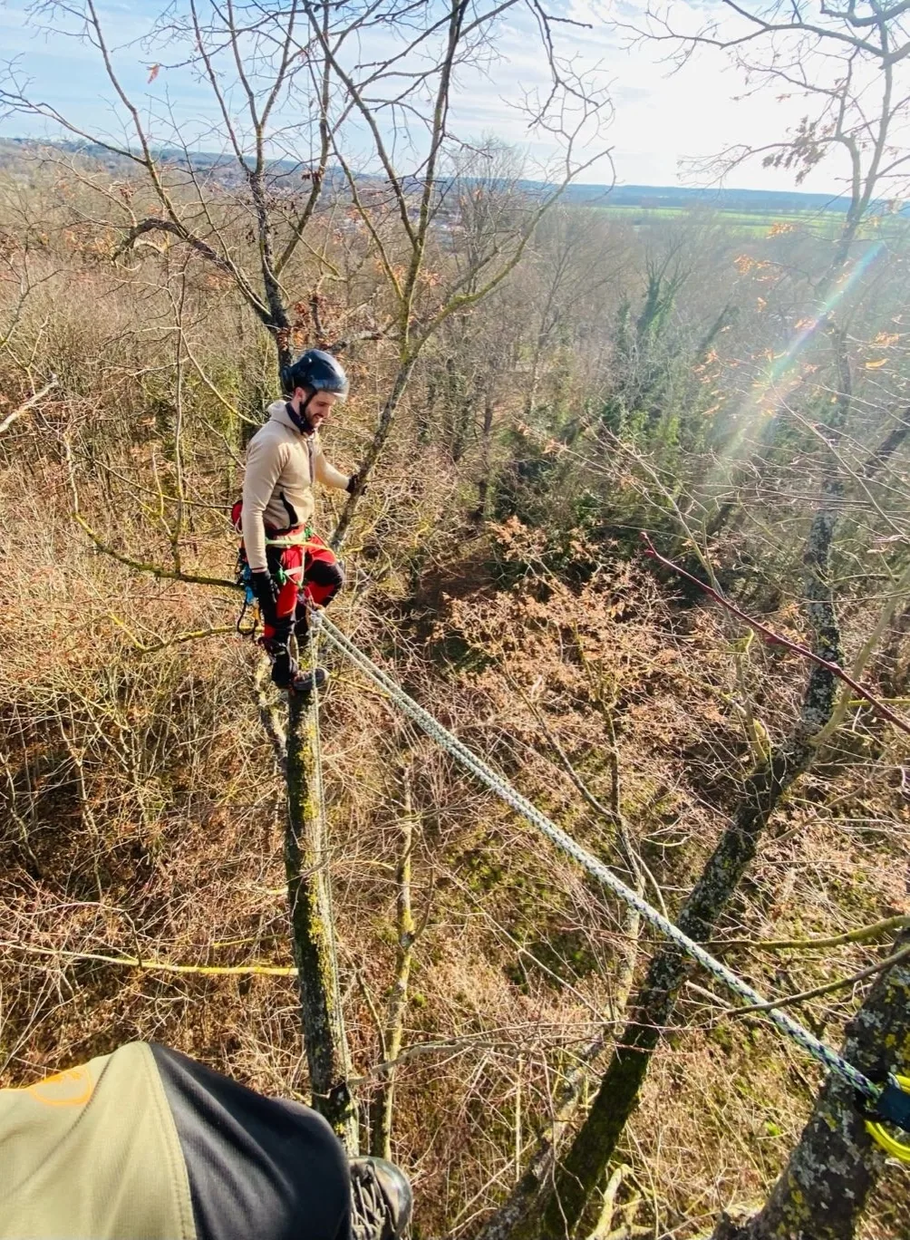 Intervention arborée Haute Cime — réalisation 8