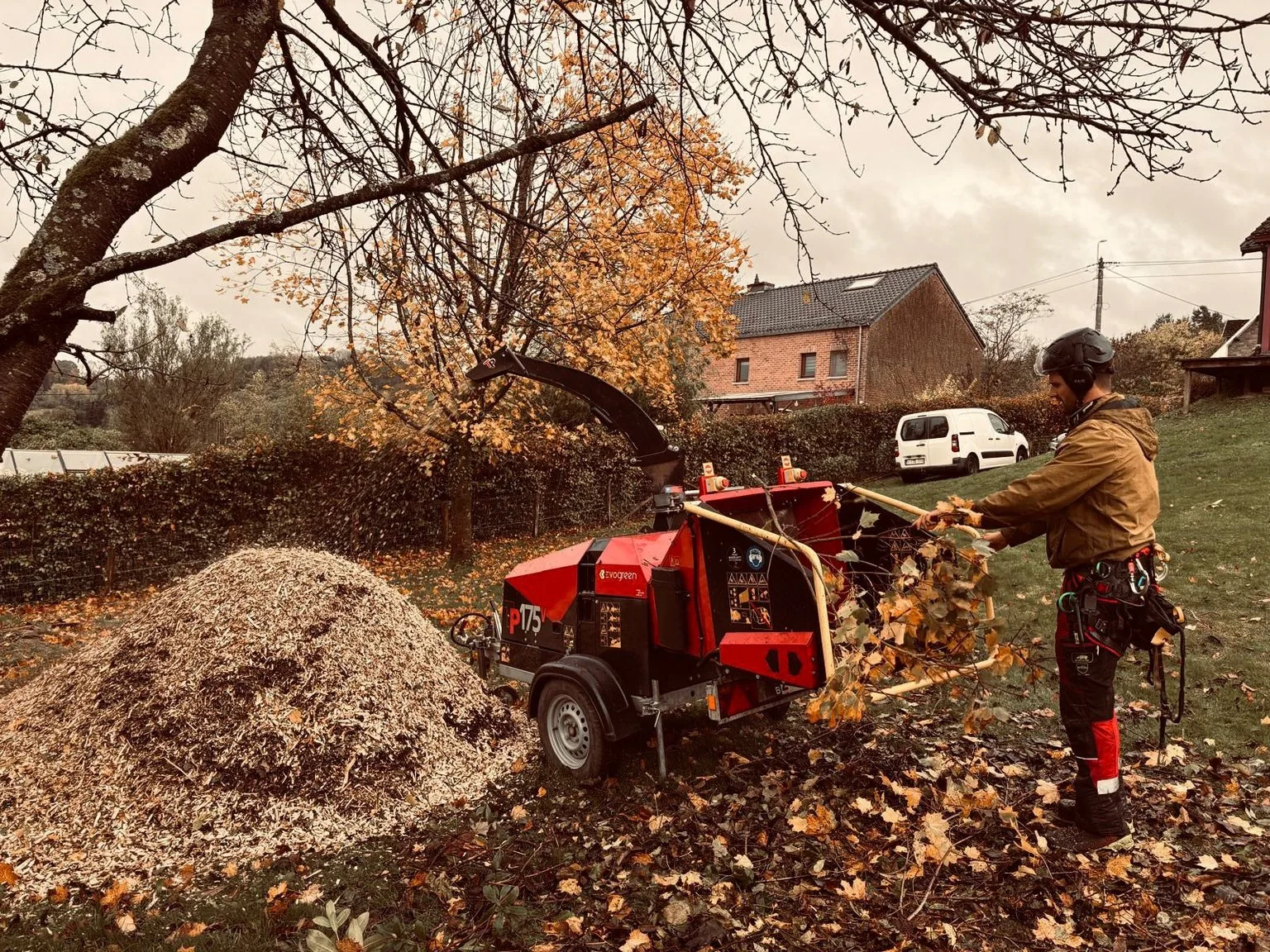 Intervention arborée Haute Cime — réalisation 11